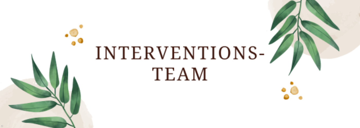Interventionsteam